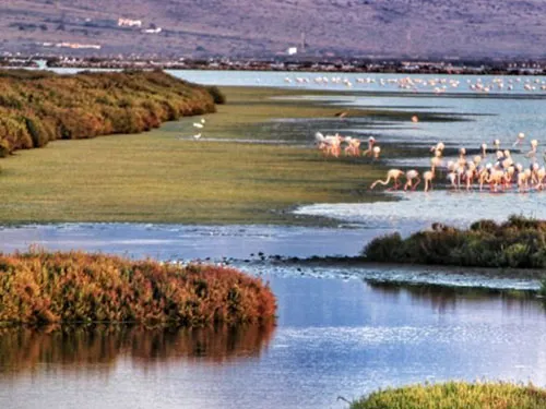 Nature à Almería