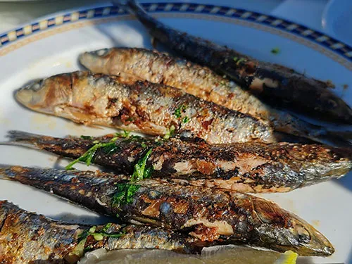 Frischen Fisch in Almería essen