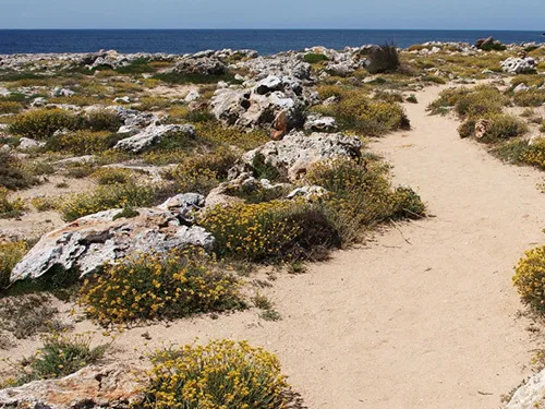 Excursión en Menorca