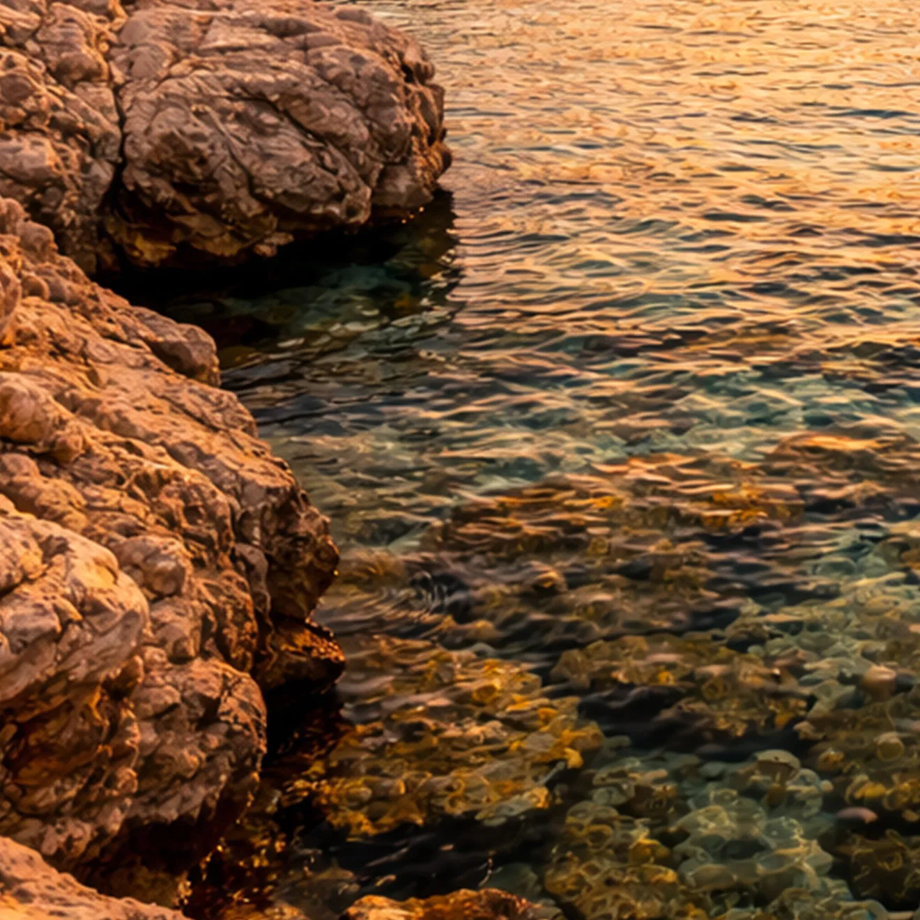 Cala en Blanes