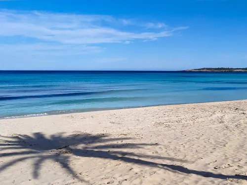 Playa Cala Millor