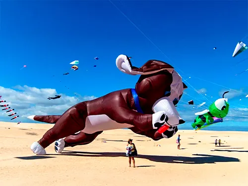 International Kite Festival