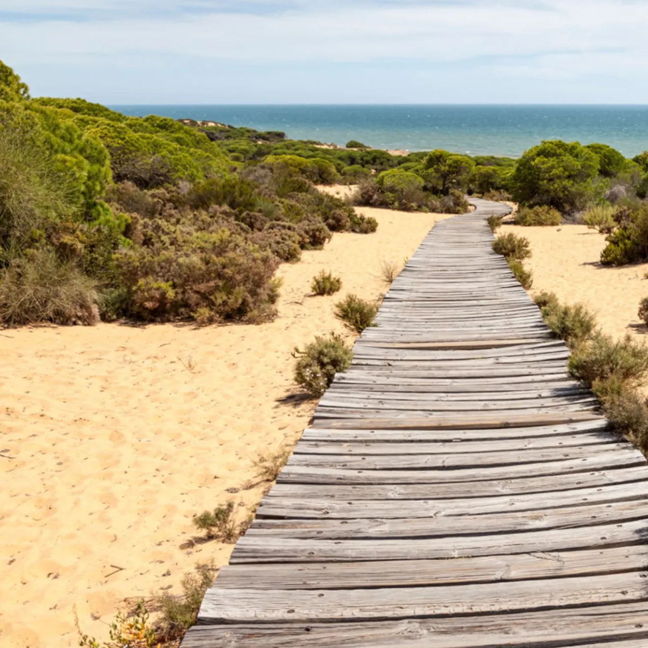 Environnement naturel sur la Costa de la Luz