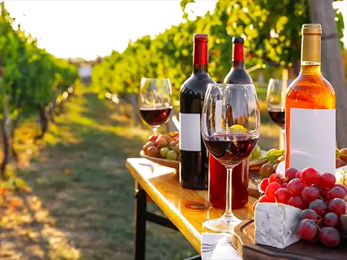 Málaga wines