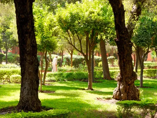 Parc Arsat Moulay Abdessalam