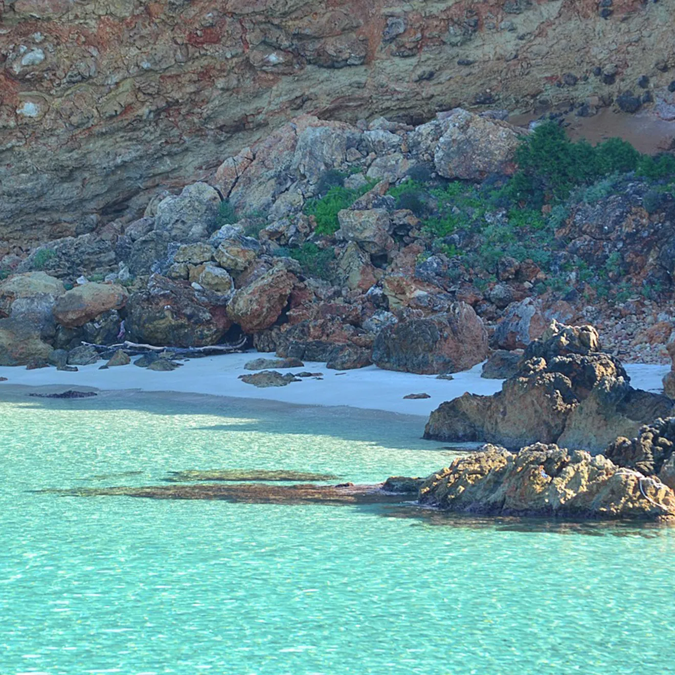 Ibiza Todo Incluido Section