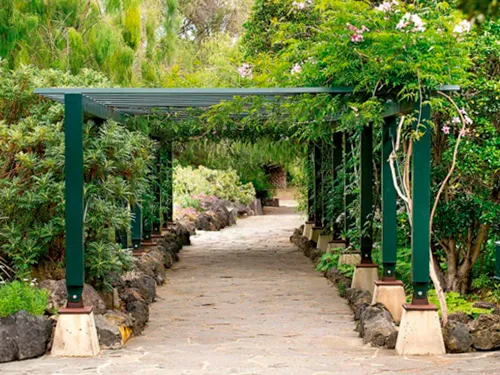 Viera y Clavijo Botanical Garden
