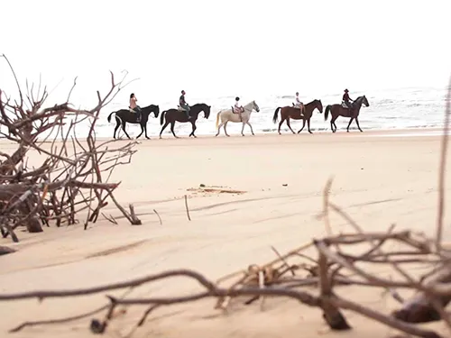 Surroundings of Doñana National Park