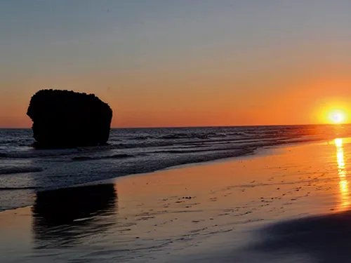 Beach of Matalascañas