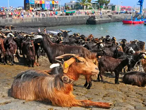Baño de las Cabras