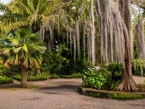 Botanische tuin