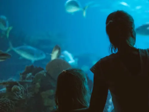 Actividades en familia Roquetas de Mar