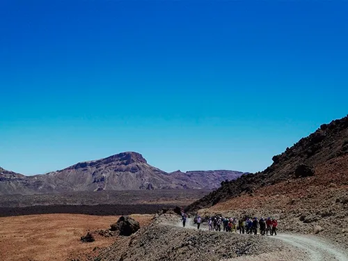 Tenerife Walking Festival