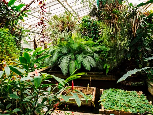 Jardín Botánico Molino de Inca
