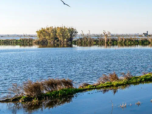 Naturpark Albufera