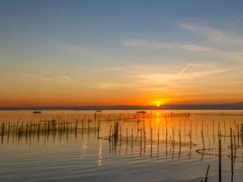 Albufera von Valencia