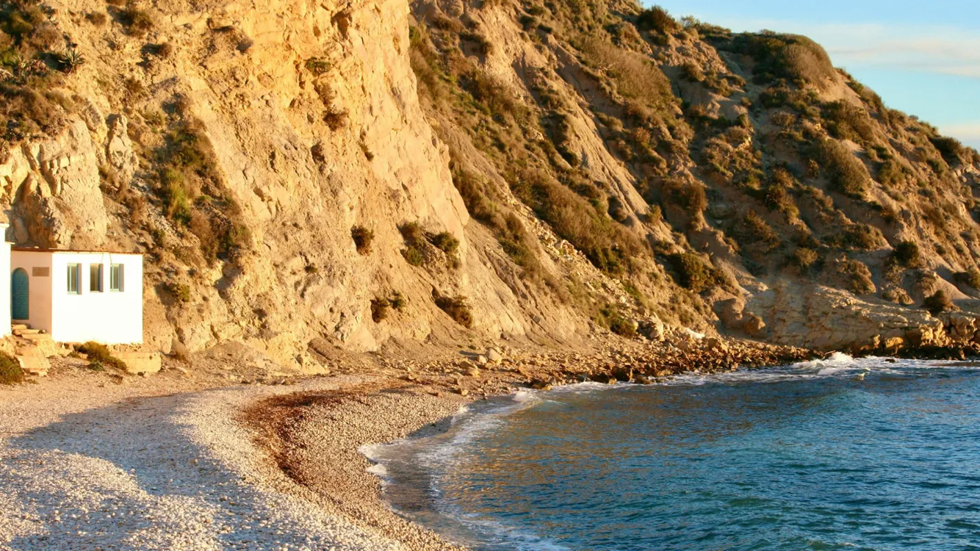Valencia Verano Section