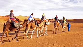 paseo en camello