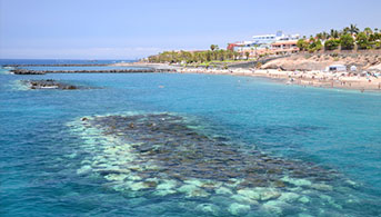 Playa el Duque en Costa Adeje