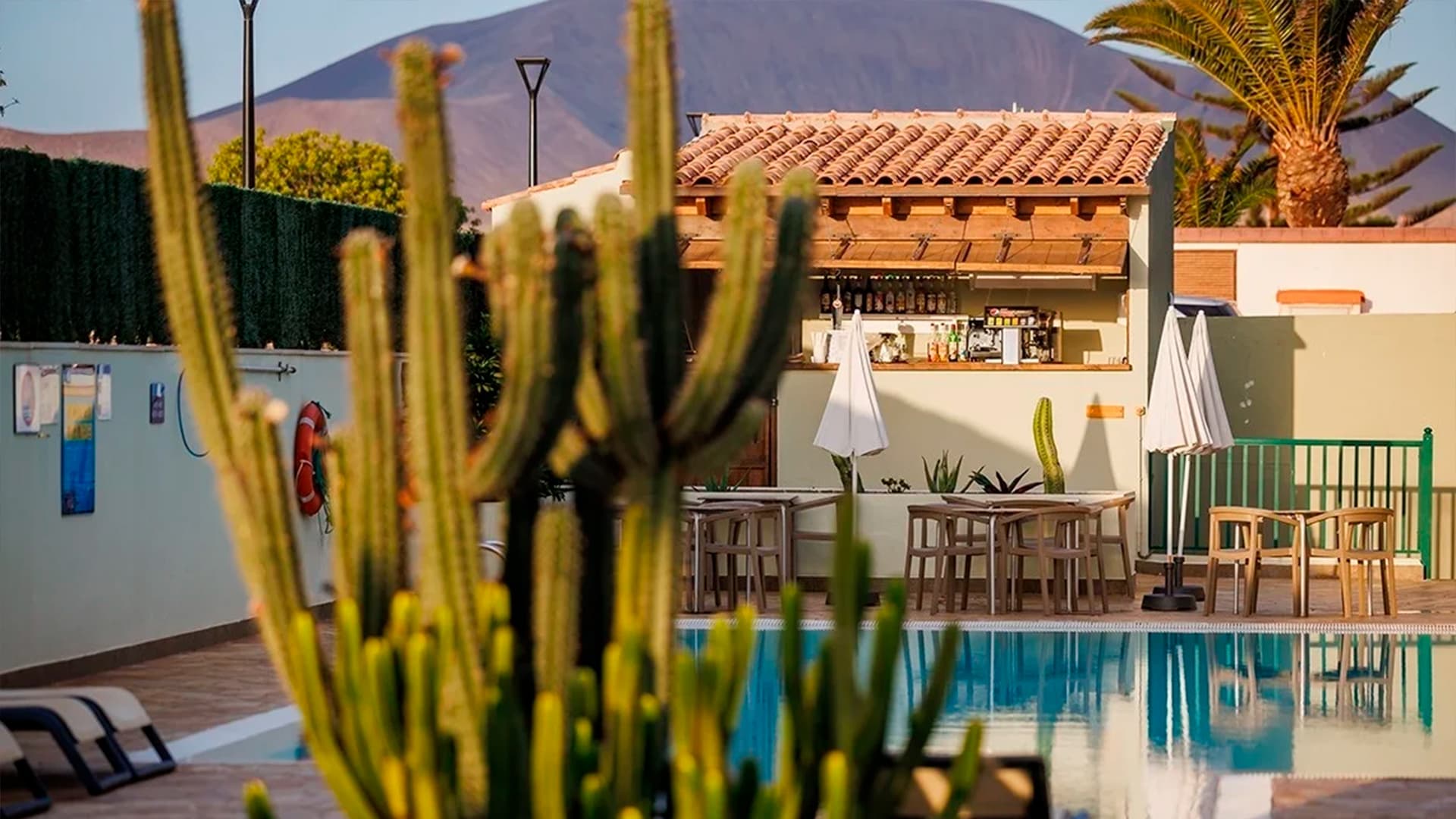 bar piscina bluesea aloe corralejo