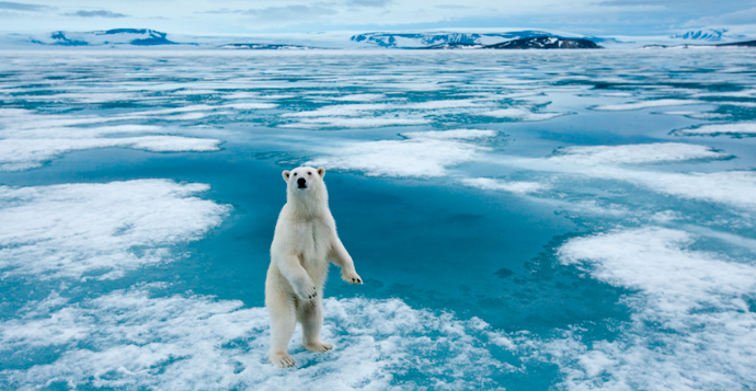 cuidado del medio ambiente cambio climatico bluesea hotels