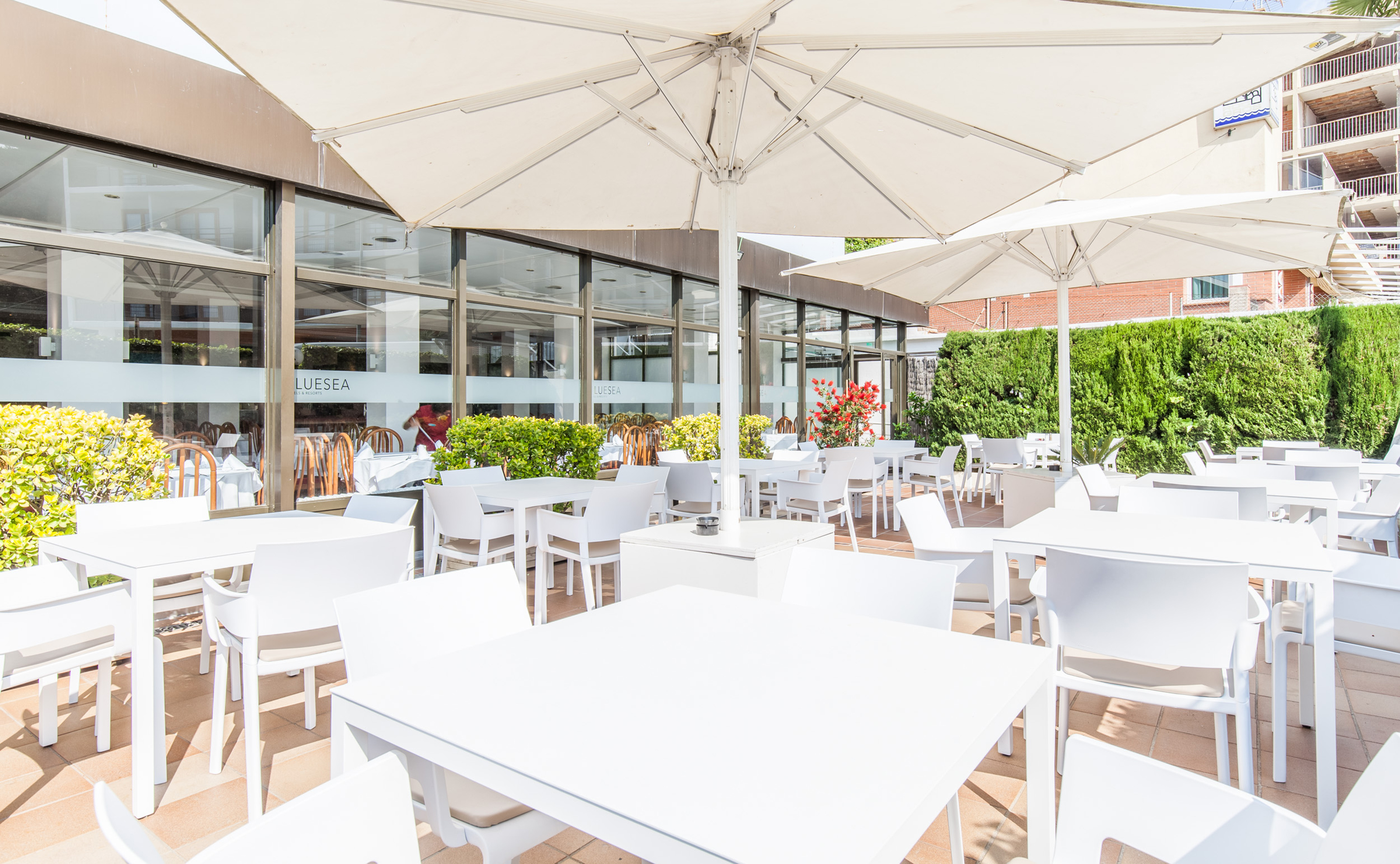 poolbar bluesea montevista hawai