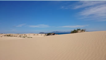 playa corralejo