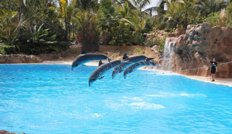 Loro Parque